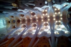 IMG_20190126_130712