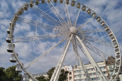 IMG_20200723_084123_1