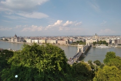 IMG_20200723_173606_1