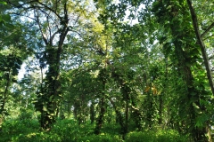 IMG_20220425_073213