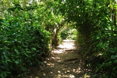 IMG_20220425_102312