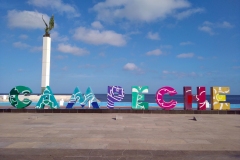 IMG_20220415_084835