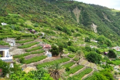 IMG_20210625_140527