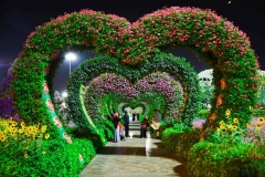 dubai-miracle-garden