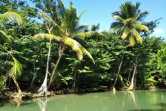 Indian River