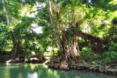 Indian River