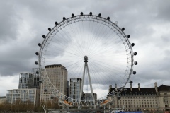 IMG_20260412_101549