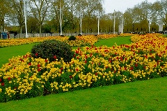 IMG_20260412_111509