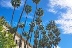 IMG_20260211_124404