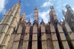 IMG_20190907_115628