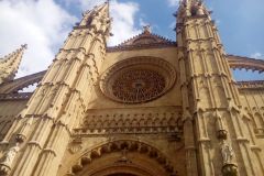 IMG_20190907_160932