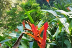 IMG_20241220_112438