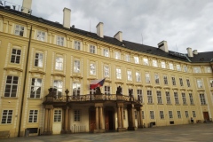 IMG_20200530_182323_1