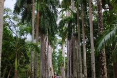 IMG_20251109_154909
