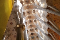 20190225_150625