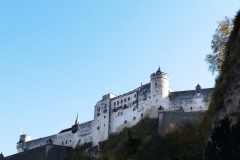 IMG_20241027_135452