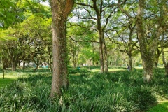 IMG_20251112_140849