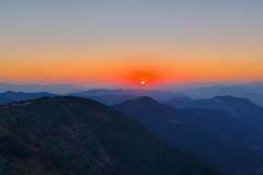 IMG_20230317_064436