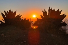 IMG_20230317_065512