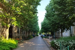 IMG_20230506_070711