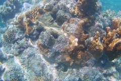 FHD0008