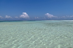 IMG_20231214_122327