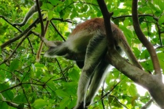 IMG_20231217_103033